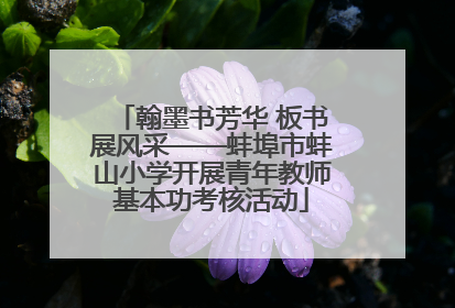 翰墨书芳华 板书展风采——蚌埠市蚌山小学开展青年教师基本功考核活动
