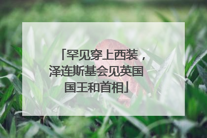 罕见穿上西装，泽连斯基会见英国国王和首相