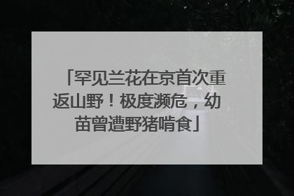 罕见兰花在京首次重返山野！极度濒危，幼苗曾遭野猪啃食