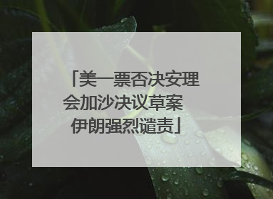 美一票否决安理会加沙决议草案 伊朗强烈谴责