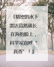 精密的水下雷达竟然就长在海豹脸上，科学家直呼“真香”！