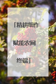 精耕细作 赋能农网终端