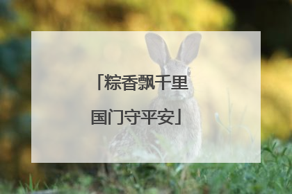 粽香飘千里 国门守平安