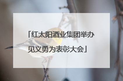 红太阳酒业集团举办见义勇为表彰大会