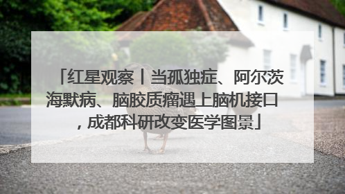红星观察丨当孤独症、阿尔茨海默病、脑胶质瘤遇上脑机接口，成都科研改变医学图景