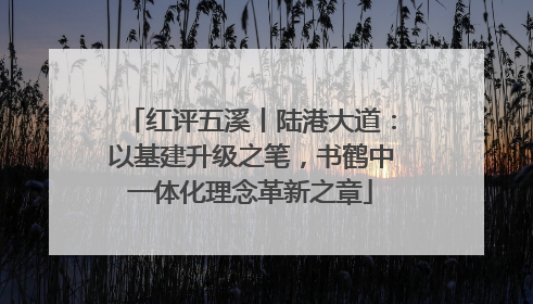 红评五溪丨陆港大道：以基建升级之笔，书鹤中一体化理念革新之章