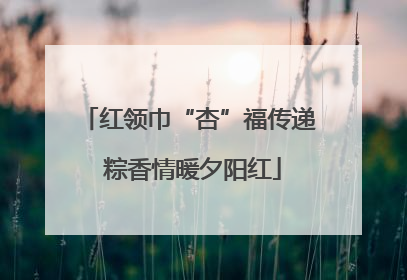 红领巾“杏”福传递 粽香情暖夕阳红