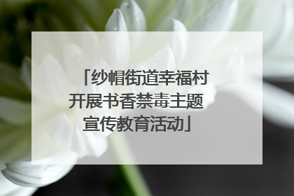 纱帽街道幸福村开展书香禁毒主题宣传教育活动