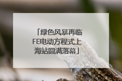 绿色风暴再临 FE电动方程式上海站圆满落幕