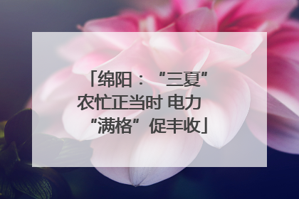 绵阳：“三夏”农忙正当时 电力“满格”促丰收