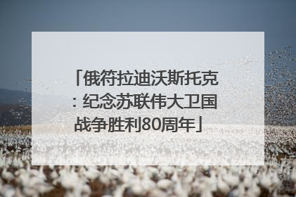 俄符拉迪沃斯托克：纪念苏联伟大卫国战争胜利80周年