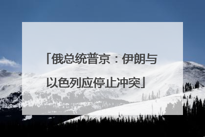 俄总统普京：伊朗与以色列应停止冲突
