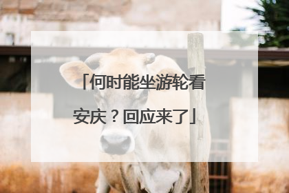 何时能坐游轮看安庆？回应来了
