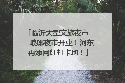 临沂大型文旅夜市——琅琊夜市开业！河东再添网红打卡地！