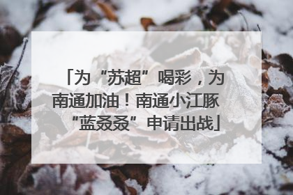 为“苏超”喝彩，为南通加油！南通小江豚“蓝叒叒”申请出战