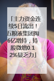 主力资金连续5日流出！五粮液集团掏6亿增持，持股微增0.12%显乏力