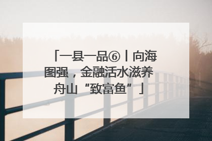 一县一品⑥丨向海图强，金融活水滋养舟山“致富鱼”