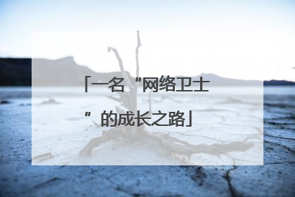 一名“网络卫士”的成长之路