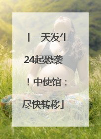 一天发生24起恐袭！中使馆：尽快转移