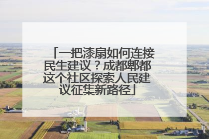 一把漆扇如何连接民生建议？成都郫都这个社区探索人民建议征集新路径