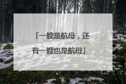 一艘是航母，还有一艘也是航母