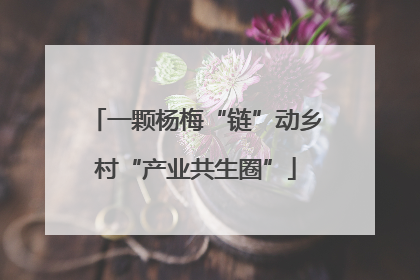 一颗杨梅“链”动乡村“产业共生圈”