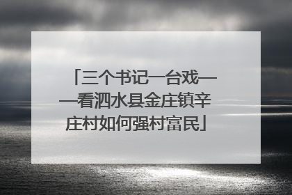 三个书记一台戏——看泗水县金庄镇辛庄村如何强村富民