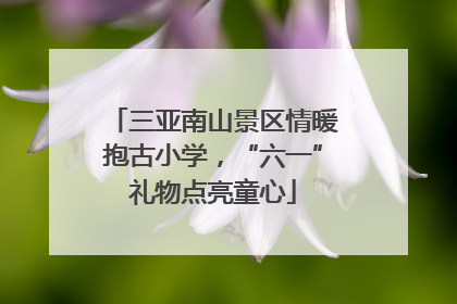 三亚南山景区情暖抱古小学，“六一”礼物点亮童心