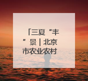 三夏“丰”景｜北京市农业农村局举办玉米小麦智能农机装备推广“田间日”活动