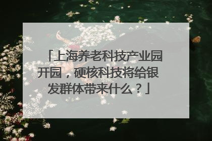 上海养老科技产业园开园，硬核科技将给银发群体带来什么？