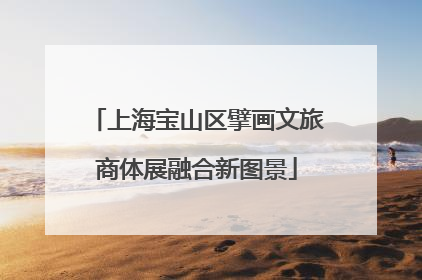 上海宝山区擘画文旅商体展融合新图景