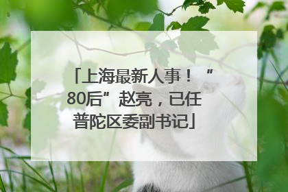 上海最新人事！“80后”赵亮，已任普陀区委副书记