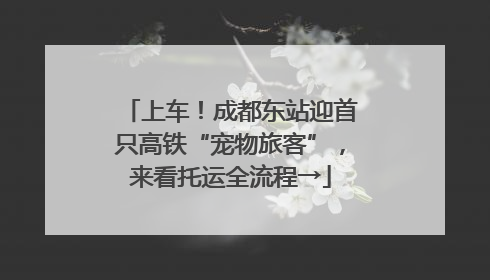 上车！成都东站迎首只高铁“宠物旅客”，来看托运全流程→