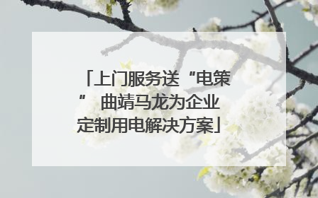 上门服务送“电策” 曲靖马龙为企业定制用电解决方案