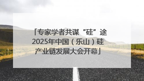 专家学者共谋“硅”途 2025年中国（乐山）硅产业链发展大会开幕