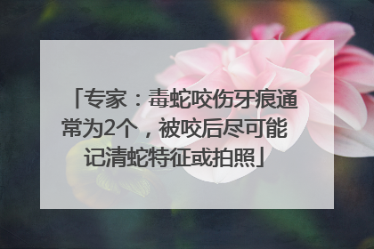 专家：毒蛇咬伤牙痕通常为2个，被咬后尽可能记清蛇特征或拍照