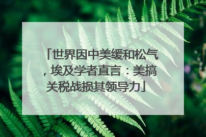 世界因中美缓和松气，埃及学者直言：美搞关税战损其领导力