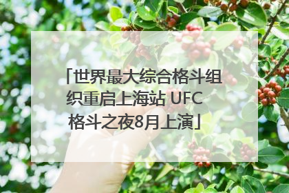 世界最大综合格斗组织重启上海站 UFC格斗之夜8月上演