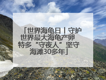 世界海龟日丨守护世界最大海龟产卵 特多“守夜人”坚守海滩30多年