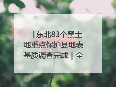 东北83个黑土地重点保护县地表基质调查完成｜全国“土地日”