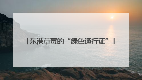 东港草莓的“绿色通行证”