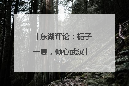 东湖评论：栀子一夏，倾心武汉