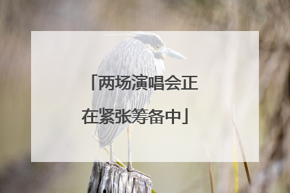 两场演唱会正在紧张筹备中