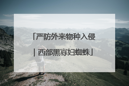 严防外来物种入侵｜西部黑寡妇蜘蛛