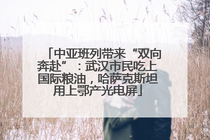 中亚班列带来“双向奔赴”：武汉市民吃上国际粮油，哈萨克斯坦用上鄂产光电屏