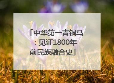 中华第一青铜马：见证1800年前民族融合史
