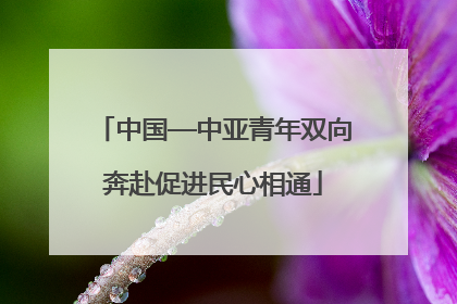 中国—中亚青年双向奔赴促进民心相通