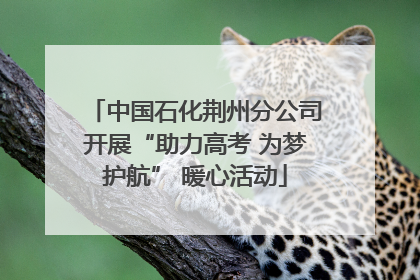 中国石化荆州分公司开展“助力高考 为梦护航” 暖心活动