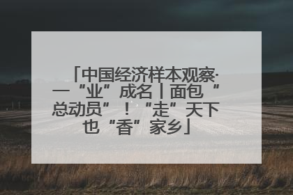 中国经济样本观察·一“业”成名丨面包“总动员”！“走”天下也“香”家乡