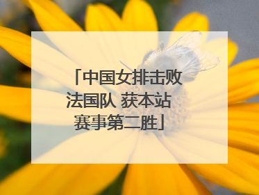 中国女排击败法国队 获本站赛事第二胜